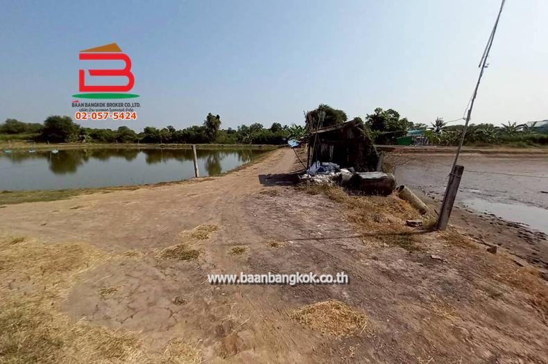 ที่ดิน ซอยโรงหลวง (ใกล้ห้างตะวันออกคอมเพล็กซ์) เนื้อที่ 9 ไร่ 1 งาน 67 ตรว. ตำบลหนองตีนนก อำเภอบ้านโพธิ์ ฉะเชิงเทรา 11