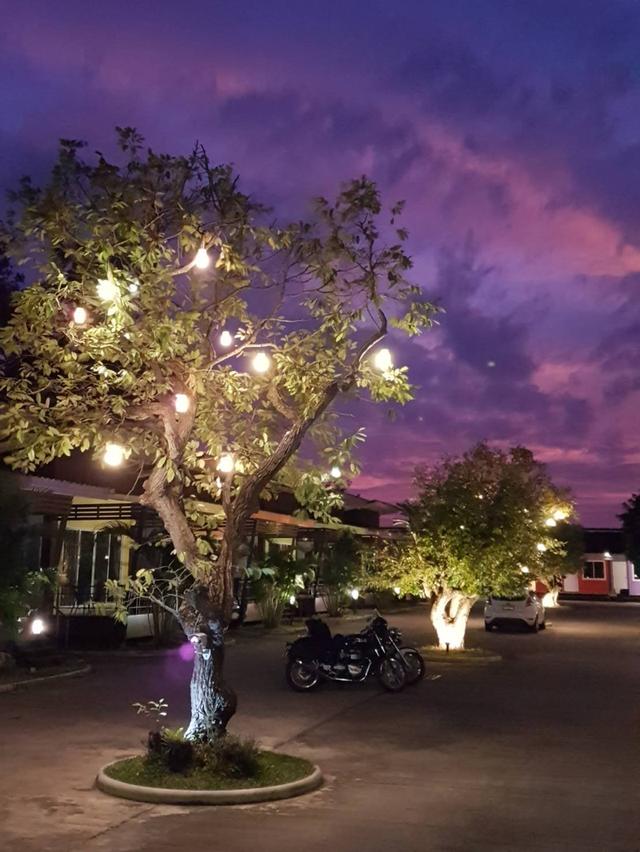 รีสอร์ทที่พักใกล้สนามช้างบุรีรัมย์ 3