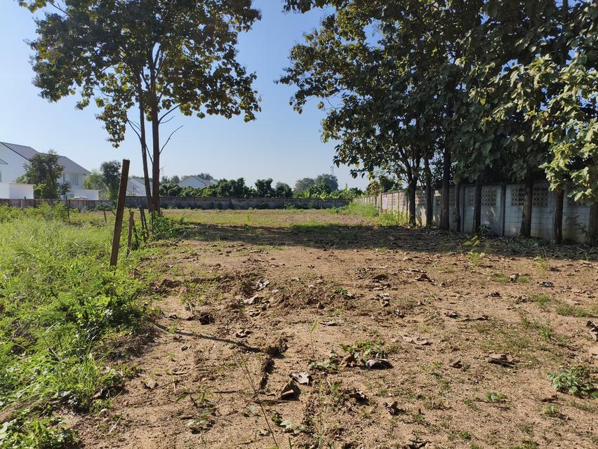 ที่ดินเปล่า แม่เหียะ เชียงใหม่ 5