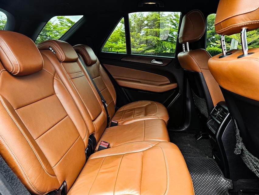 GLE500e 18
