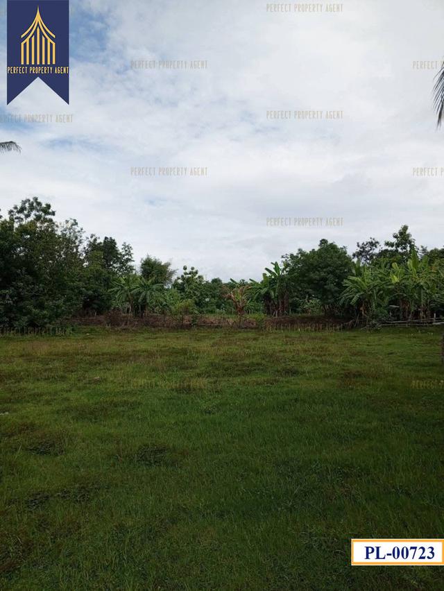 ที่ดิน อำเภอ เถิน จังหวัด ลำปาง 35 ไร่ติดถนนสายเอเชียและแม่น้ำวังพัฒนา 8