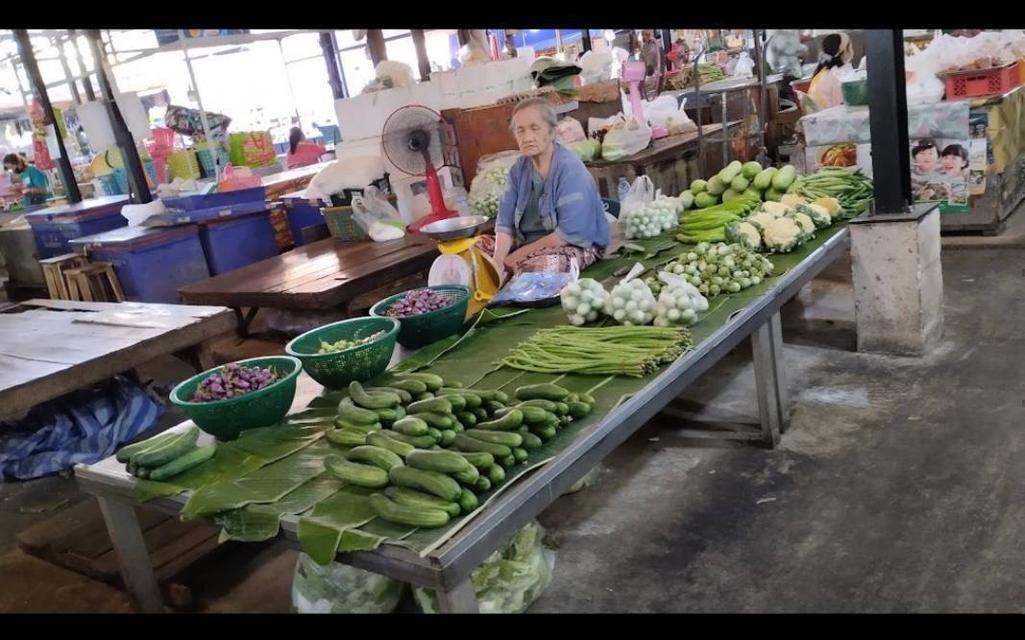 ขายด่วนที่ดินพร้อมสิ่งปลูกสร้างใจกลางเมืองอุดรธานี(ตลาดสด) 5