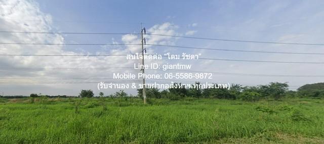 ที่ดิน ขายบ้านพร้อมที่ดินสวนมะพร้าว มะม่วง บึงพระ จ.พิษณุโลก ติดถนนเลี่ยงเมืองพิษณุโลก 56-0-17 ไร่ ราคา 199 ล้านบาท ขนาด 7