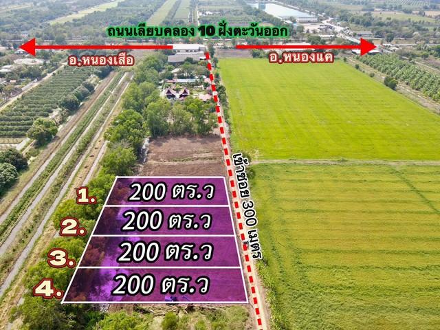ขายที่ดินบึงกาสามเนื้อที่ 200 ตรว. คลอง10 ถมแล้ว เข้าซอยจากถนน3261เพียง300เมตร หนองเสือ ปทุมธานี 3