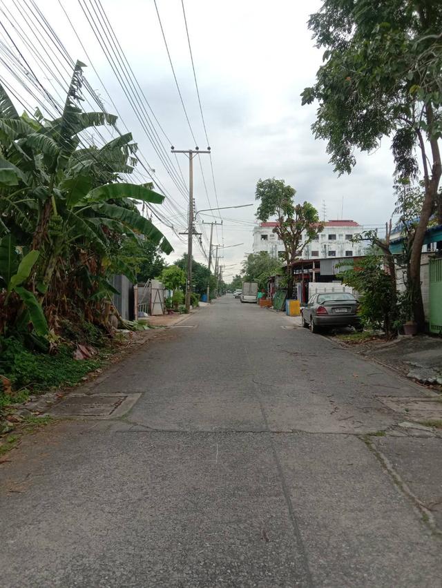 ขายที่ดินเปล่า 70 ตารางวา คลอง2 (ซอยรังสิต-นครนายก33) ใกล้ตลาดพระรูปคลอง2 7