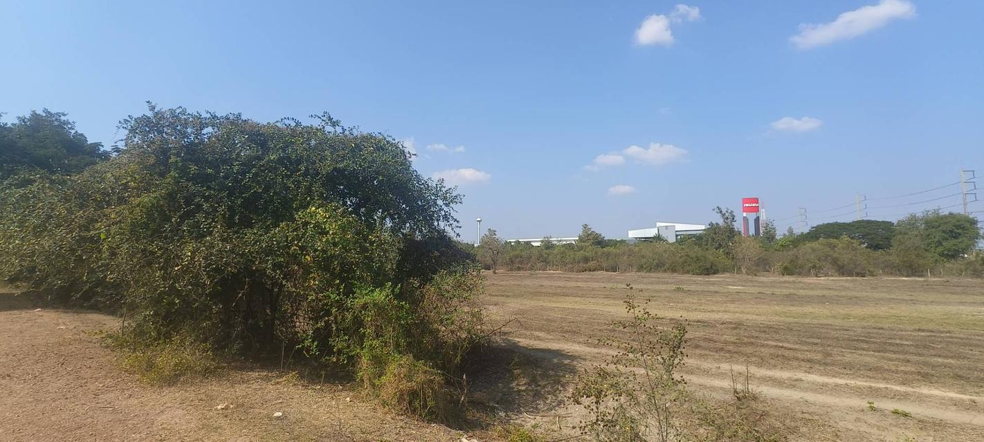 ที่ดินผืนใหญ่ ทำเลยุทธศาสตร์ เชียงใหม่–ลำพูน ศูนย์กลางการเติบโตอุตสาหกรรมและโลจิสติกส์ 6