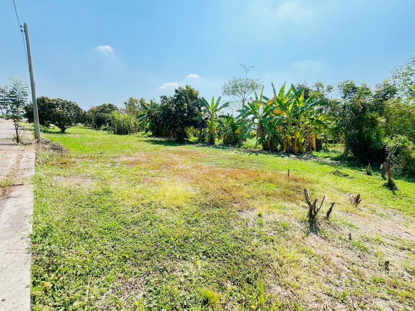 ที่ดิน พร้อมบ้านเดี่ยว 2 ชั้น ถนนรังสิต-นครนายก ตำบลบึงน้ำรักษ์ อำเภอธัญบุรี จังหวัดปทุมธานี 9