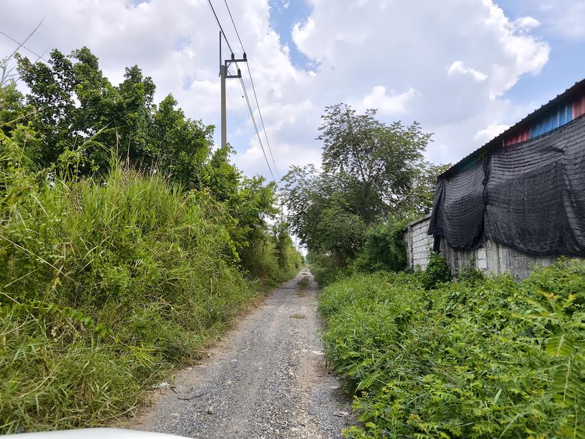 ขายที่ดิน 5ไร่ คลอง5 ธัญบุรี ปทุมธานีซอยคลอง5 ตะวันตก44 ติดกับหมู่บ้านทัศนี เยื้องสนามกอล์ฟAlpine 2