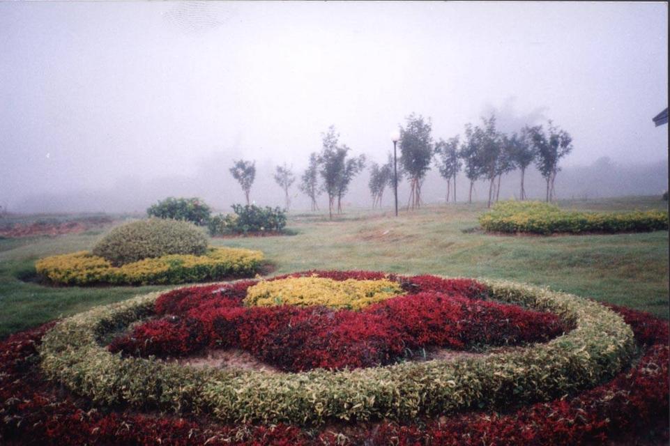 จ.เชียงราย ขายที่ดิน383ไร่พร้อมโครงการ 8