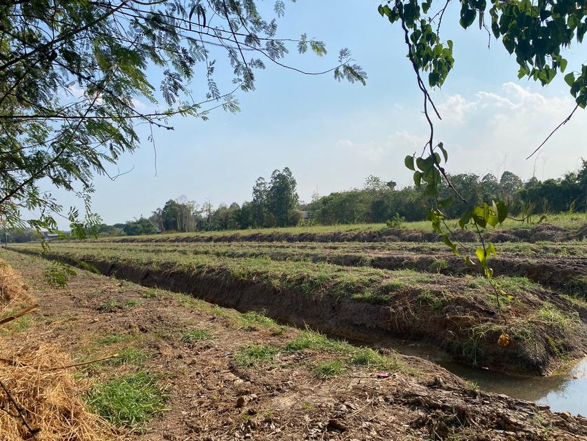 ที่ดินติดถนนรังสิต-นครนายก ธัญบุรี คลอง7 4