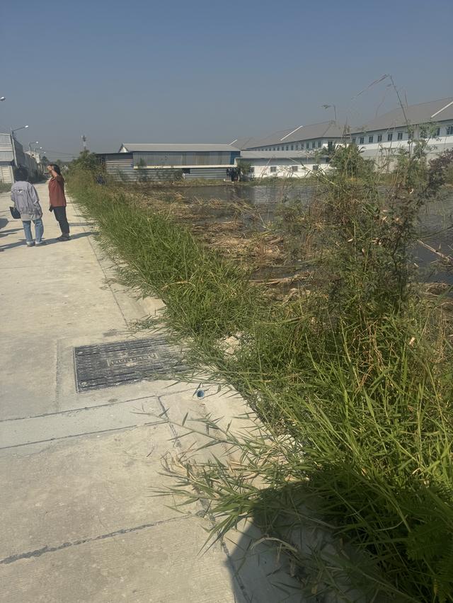 ขายที่ดิน  13