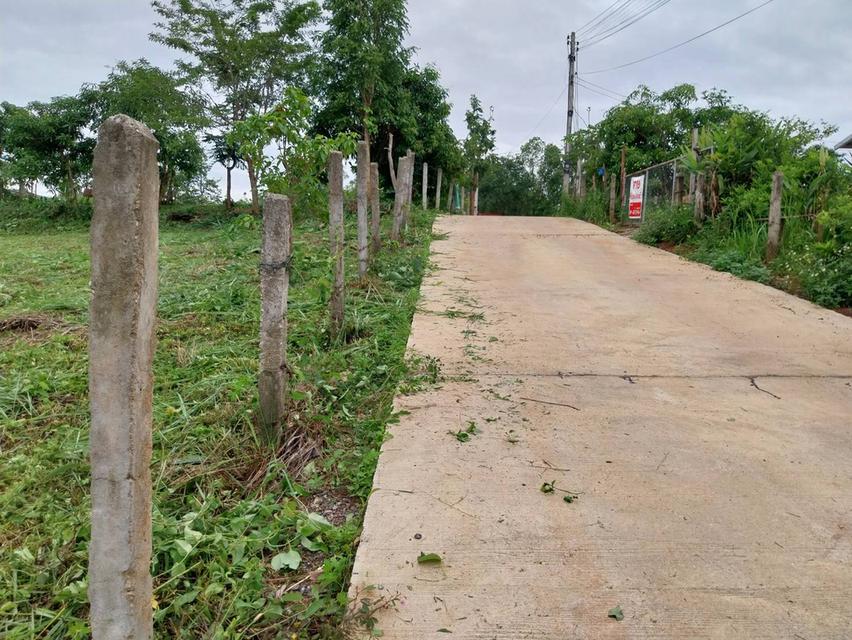 ที่ดินหัวมุมบนเนิน 6