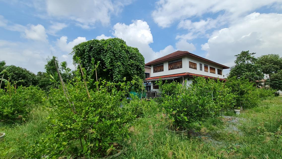 [ขายด่วน] ที่ดินแปลงใหญ่ 498 ตร.ว. พร้อมบ้านหลังใหญ่ ติดคลอง บรรยากาศร่มรื่น ย่านบางกรวย 1
