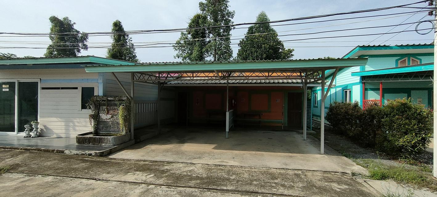 Sale Farm land and smaller guest house ขายสวนและกิจการ วิวภูเขา เพชรบูรณ์ 10