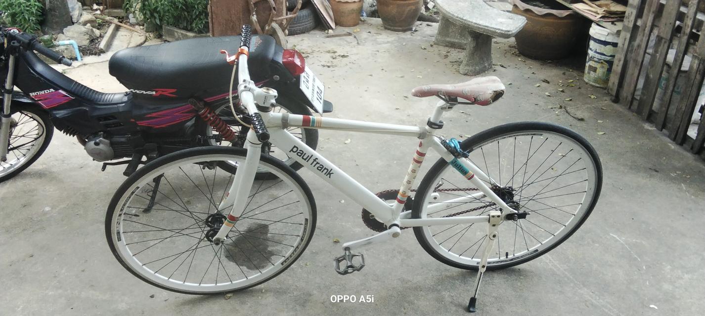 🚲 ขายจักรยาน Paul Frank Julius รุ่นลิมิเต็ด หายาก ส