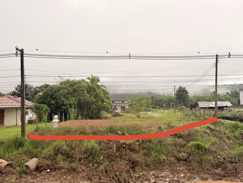 ที่ดิน อ.ภูเรือ จ.เลย 2 ไร่ 4