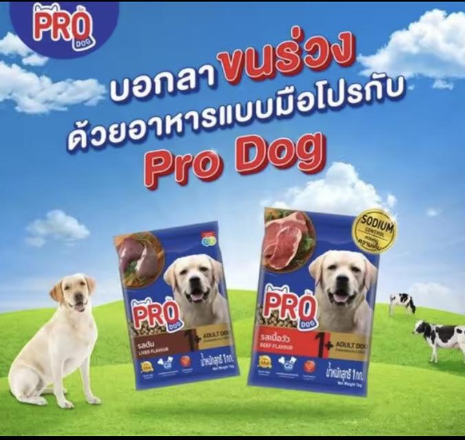 อาหารสุนัข Pro Dog 2