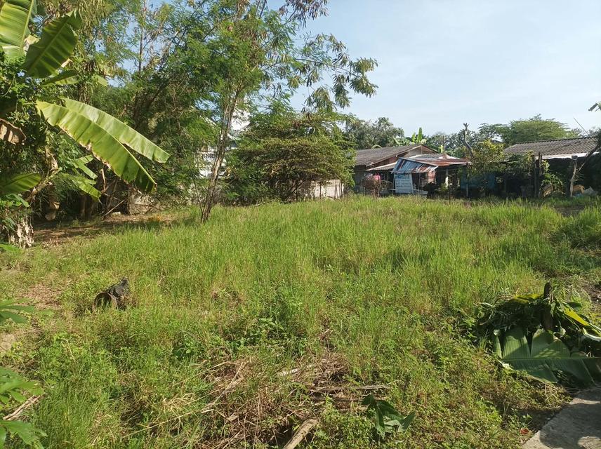 ขายที่ดิน 110ตร.ว. ต.ป่าป้อง อ.ดอนสะเก็ด จ.เชียงใหม่ 9