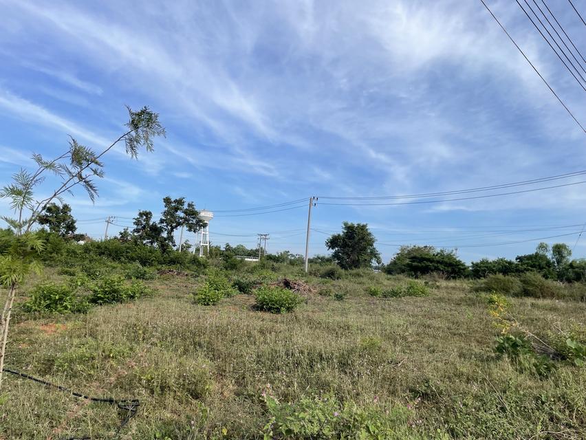 ที่ดินใกล้ ม.เกษตร สกลนคร แบ่งขาย ใกล้ ม. / 7-11 / หอพัก ที่ดินสูง ถนนคอนกรีต ไฟฟ้า–ประปาพร้อม  • แปลงที่ 1 : 1 งาน → 480,000 บาท • แปลงที่ 2 : 1 งาน 4