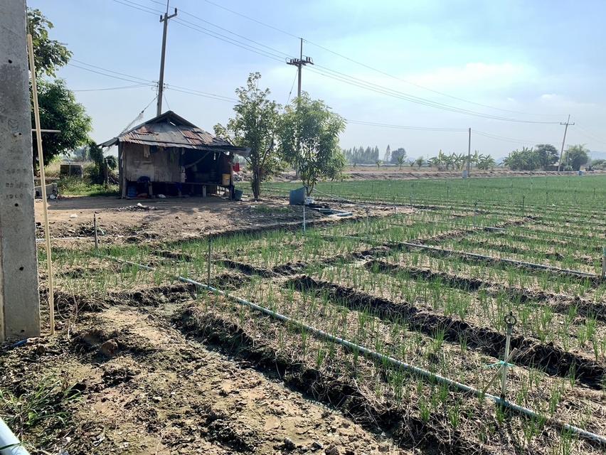 ขายที่ดินสวย2แปลง เนื้อที่รวม26ไร่เศษ ใกล้มอเตอร์เวย์ สภาพแวดล้อมดี เหมาะลงทุน,จัดสรร,ทำเกษตรหรืออื่นๆ คมนาคมสะดวก 6