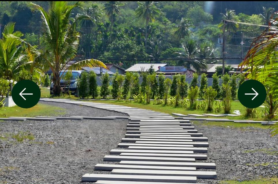 รีสอร์ท หาดคลองดาว เนื้อที่ 6 ไร่ 2