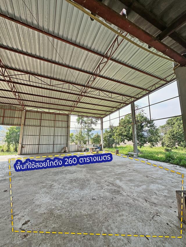 ขายที่ดินเปล่าพร้อมโกดังและบ้าน บ้านจำปู ต.เจริญเมือง อ.พาน จ.เชียงราย 57120 8