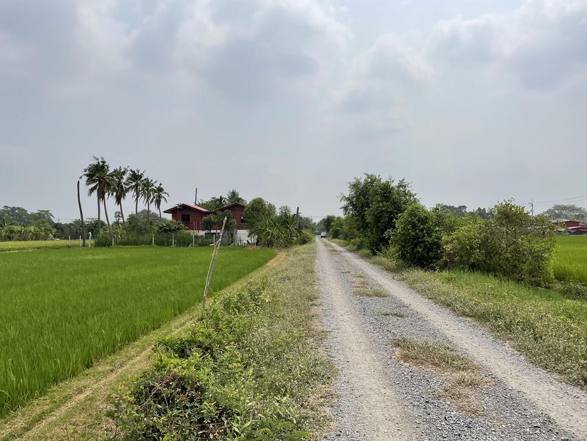 ที่ดินเนื้อที่ 6 ไร่ 184 ตรว. ตำบล คลองหก อำเภอคลองหลวง ปทุมธานี 10