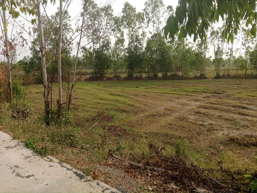 ขายที่ดินหัวหว้า ศรีมหาโพธิ 1 ไร่ ติดถนนทล.ชนบทใกล้ถนนสี่เลน3070-100เมตร จ.ปราจีนบุรี 1