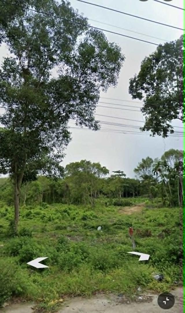 ที่ดินแบ่งขาย 17ไร่ หาดใหญ่ 6