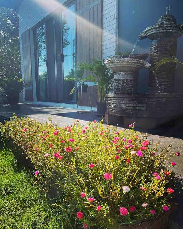 ให้เช่าบ้านเดี่ยว 2 ชั้น เลี้ยงสัตว์ได้ หมู่บ้านวราบดินทร์ รังสิตคลอง 3 บ้านหลังมุมติดสวน 2