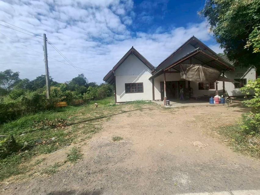 ขายบ้านชั้นเดียวพร้อมที่ดินเนื้อที่เยอะ บ้านห้วยกลางนาหมู่ 2 หนองแค สระบุรี 4