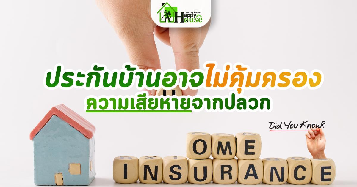 บริการกำจัดปลวก เชียงใหม่