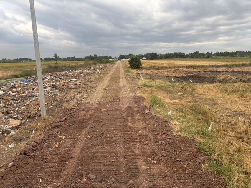 ที่ดินคลอง 8 ลำลูกกา ปทุมธานี เนื้อที่ 1 ไร่ 5