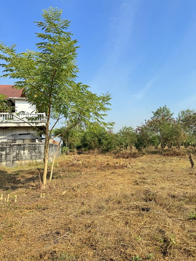 ขายที่ดินสวย ติดถนนสายสุพรรณบุรี-บางบัวทอง 7