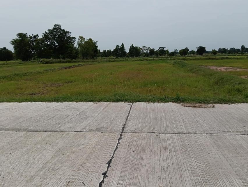 ที่ดิน3ตรว.ใกล้ถนนมิตรภาพ500เมตร 6
