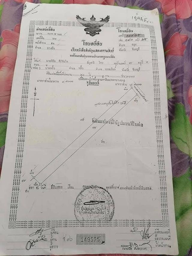 ขายที่50 ตรว. 300,000 1