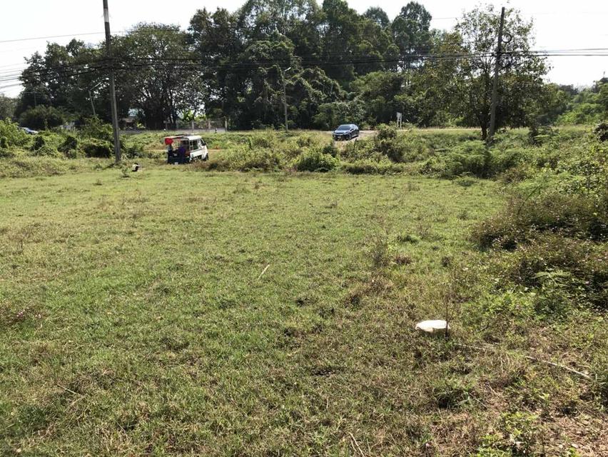 ที่ดินจังหวัด นครนายก 5