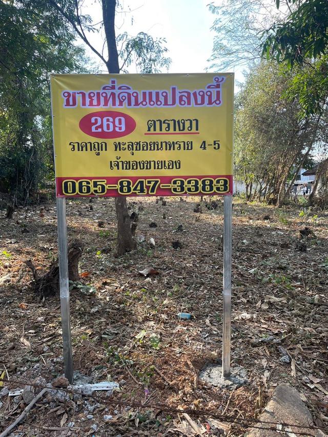 ขายที่ดินสวย ใกล้ทางหลวง ตำบลหนองบัว เมืองอุดรธานี 5
