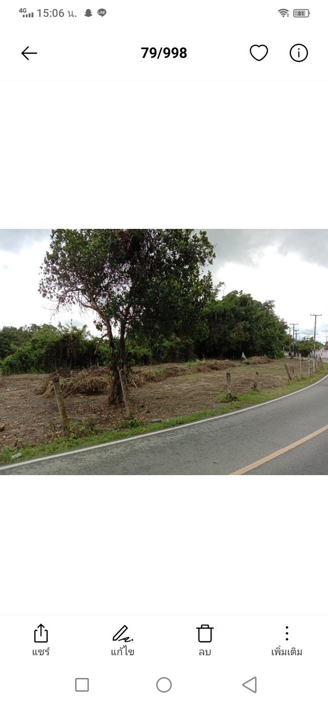 ที่ดิน สันป่าตองเชียงใหม่ 8