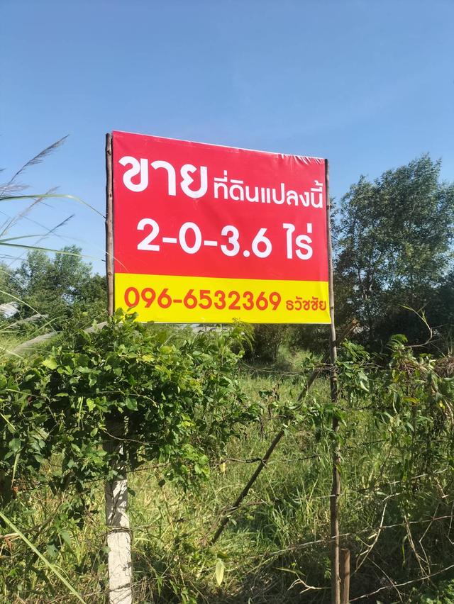 ที่ดินทำเลทอง ต.ทับมา อ.เมืองระยอง จ.ระยอง รูปย่อยที่ 3