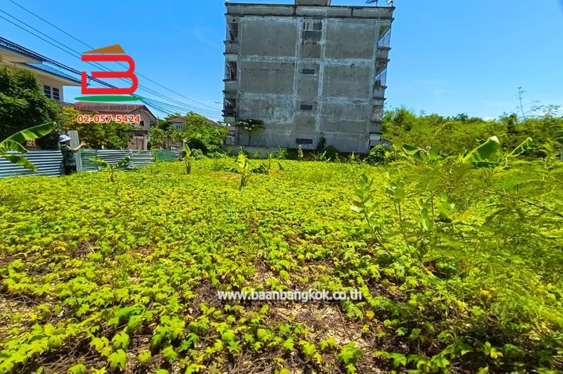ที่ดินเปล่าถมแล้ว ซอยฉิมพลี 29 เนื้อที่ 85 ตร.ว. ถนนฉิมพลี เขตตลิ่งชัน