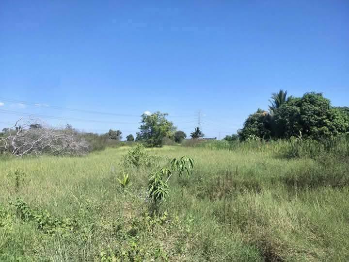 ที่ดินว่างเปล่า 6