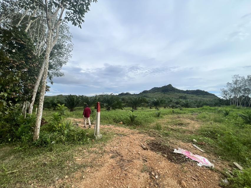 ที่ดินเปล่าจังหวัดตรัง 4