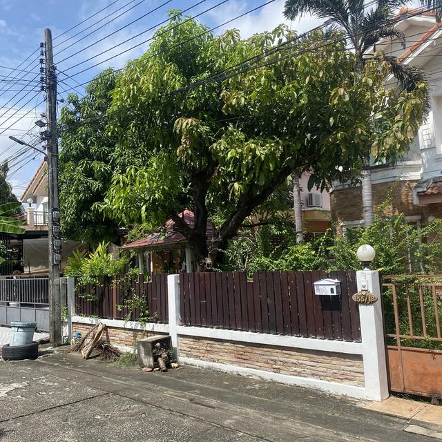 ขายบ้านเดี่ยว 51.2 ตารางวา คู้บอน27 16