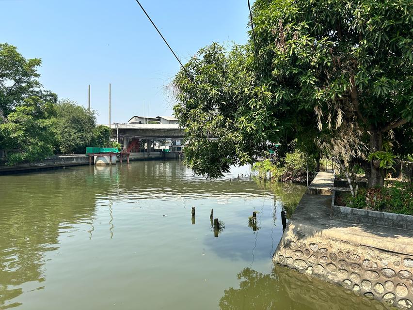 ที่ดิน ถนนราชพฤกษ์ ตรงข้าม central westville ติดคลองมหาสวัสดิ์  5