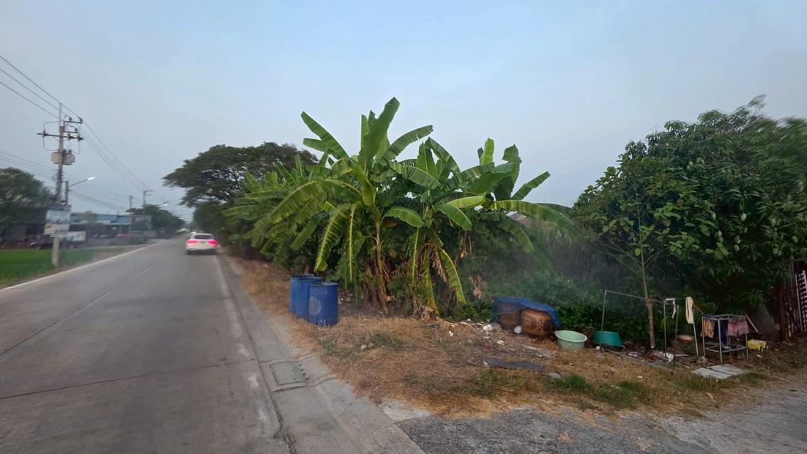 4/4 ม.6 ถ.โรงเรียนบ้านคลองเจ้าเมือง ต.คลองพระอุดม อ.ลาดหลุมแก้ว จ.ปทุมธานี 3