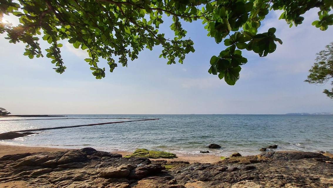 ขายคอนโดพัทยา BEACHFRONT ️️วิวทะเลติดหาดส่วนตัว 2ห้องนอน 2ห้องน้ำ โครงการ The Sanctuary Wong Amat 1