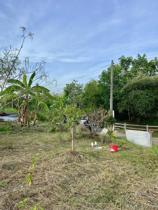 ขายที่ดินโฉนดเขาใหญ่ 104 ตร.วา. ใกล้ตัวเมืองปากช่องและถนนมิตรภาพสายเก่า 4