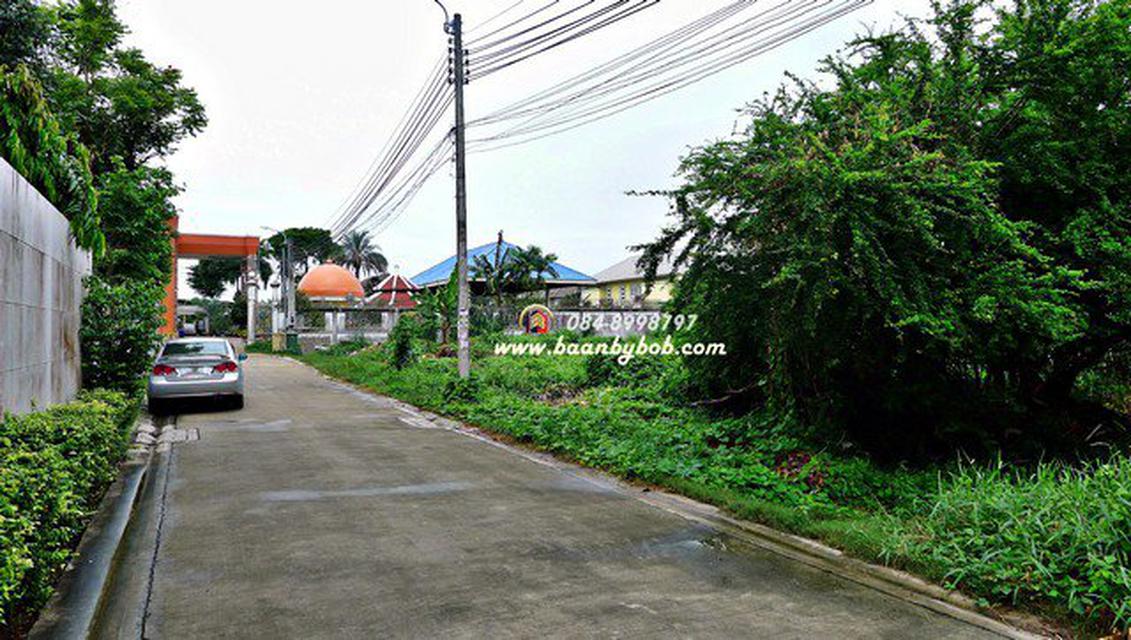 ขายที่ดิน พุทธมณฑล สาย1 272 ตร.วา 1