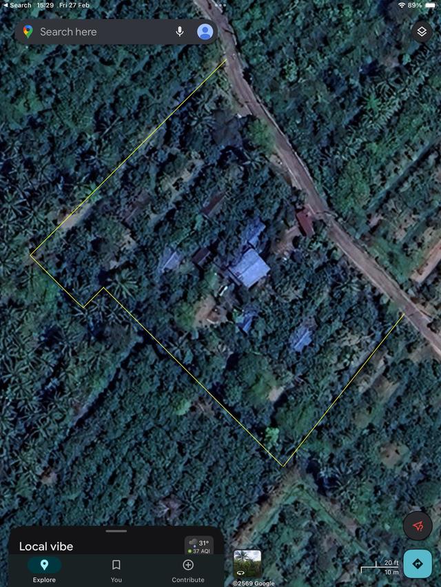 ขายที่ดินสวนส้มโอ 3ไร่ 1งาน อำเภอบางคนที จังหวัดสมุทรสงคราม ที่สวย หน้ากว้างติดถนน 9